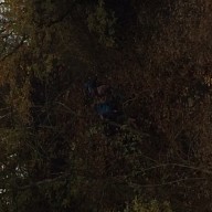 Sint-Martinus den XIIde - Weekend WHV